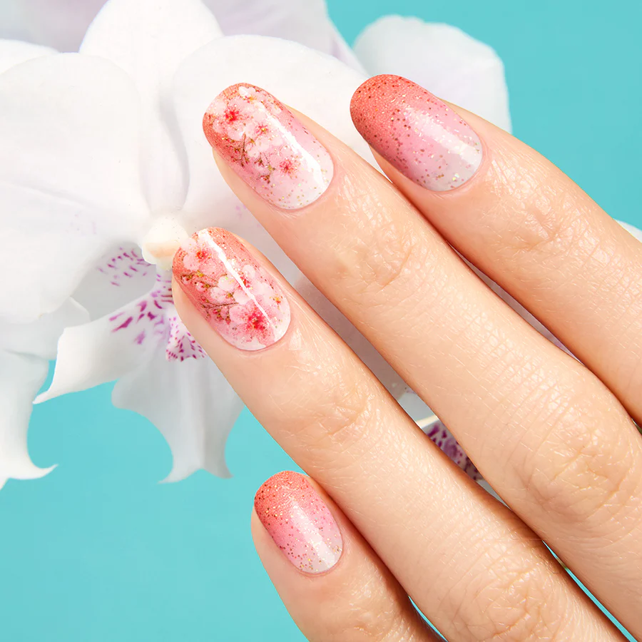 Cherry Blooms - Image 2