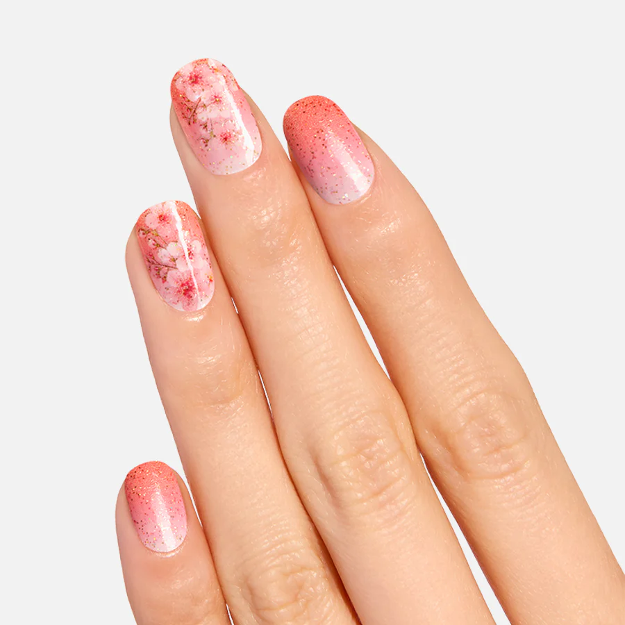 Cherry Blooms - Image 3